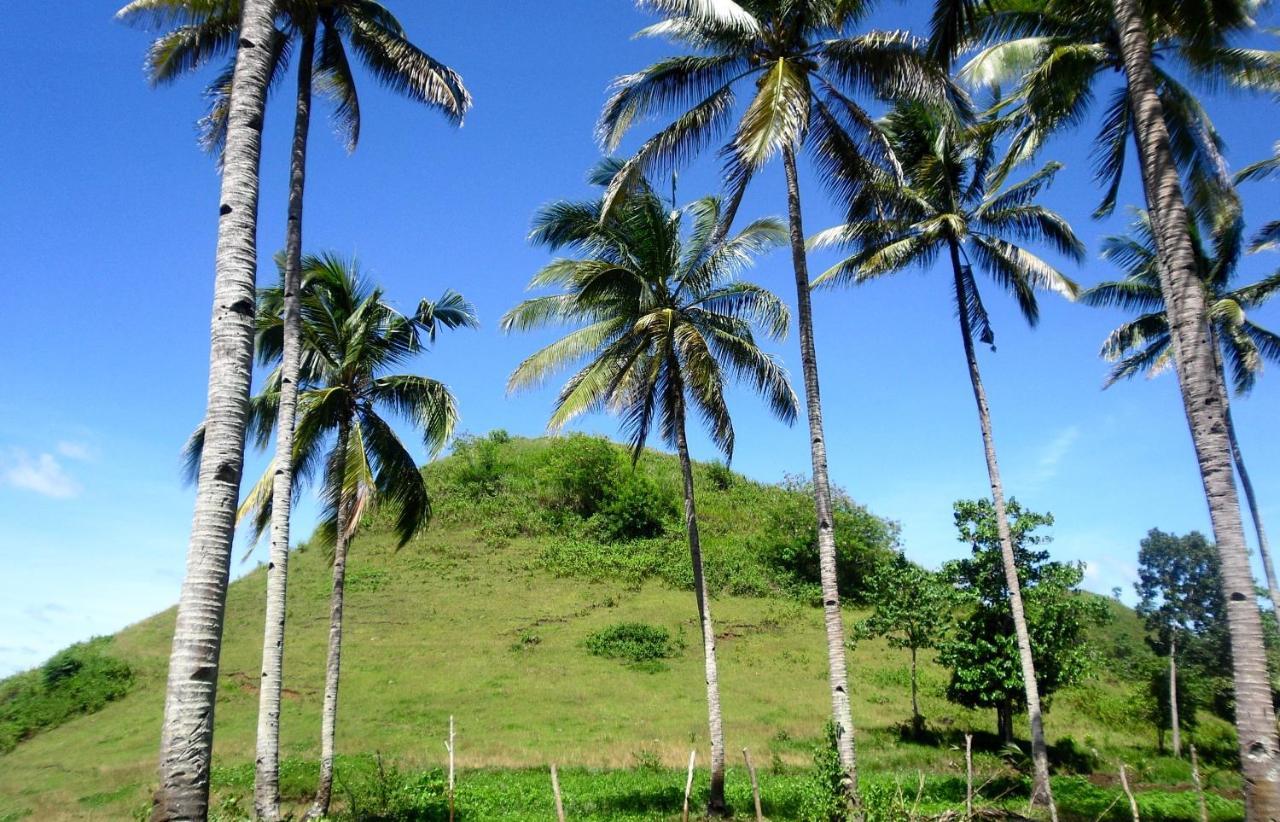 Bohol Sweet Home Bed And Breakfast Guindulman Bagian luar foto